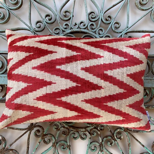 Velvet / Ikat Cushion-Vat009